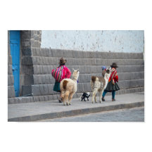 Mulheres e Alpacas, Cusco, Peru