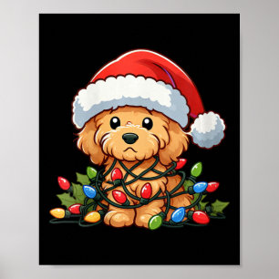 Poster Mulheres Goldendoodle Luzes De Natal Cachorros Eng