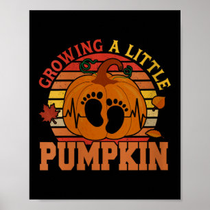 Poster Mulheres Vintage Cultivando Pequeno Pumpkin de Açã