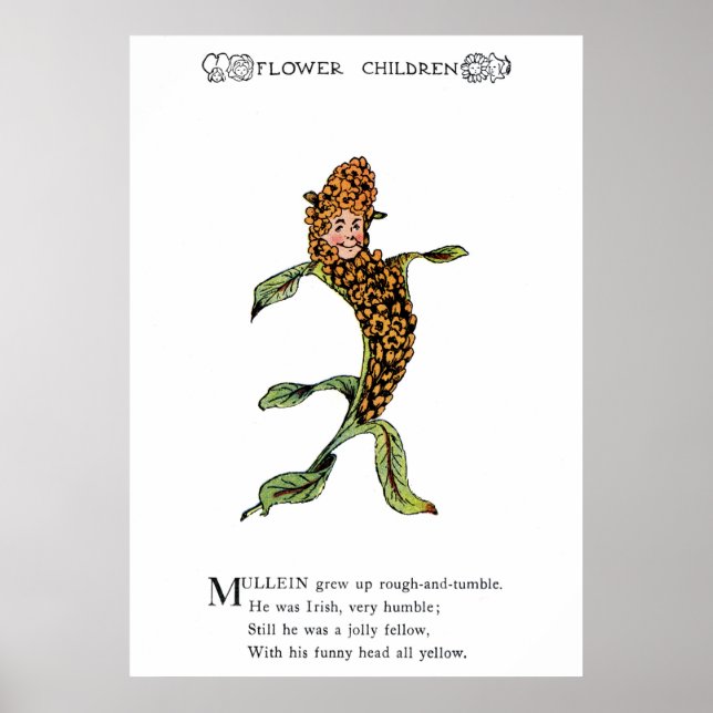 Pôster Mullein (Frente)
