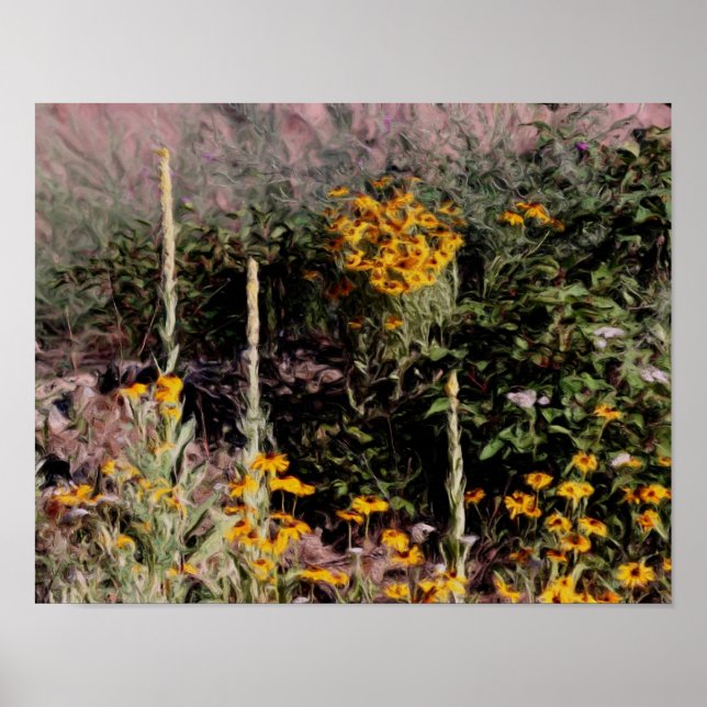 Poster Mulleins Black Eyed Susan Flowers (Frente)