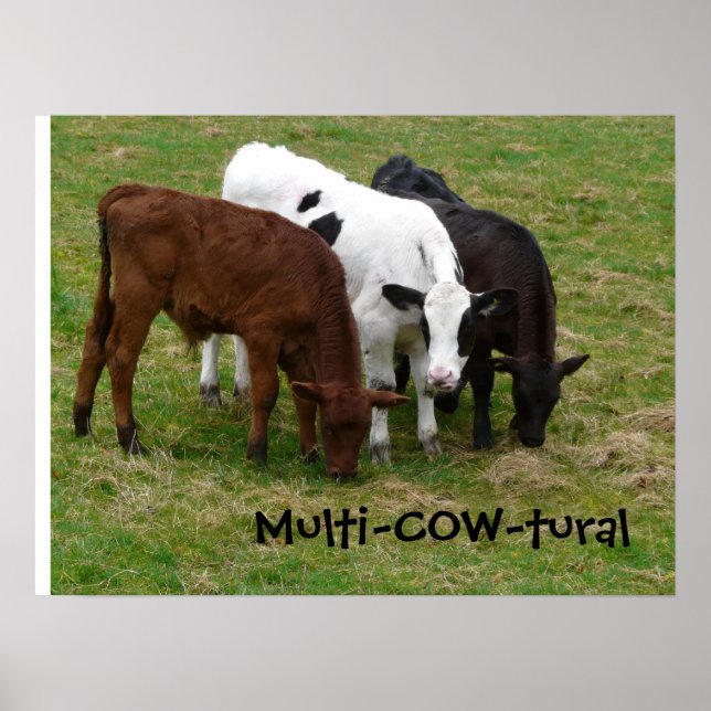 Poster Multicultural? Somos multi-COW-tural! (Frente)