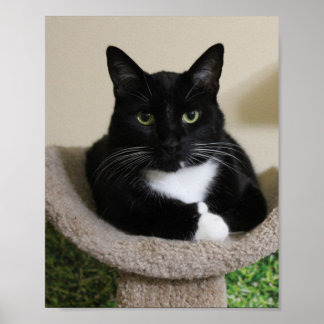 Poster Mumbs para cima