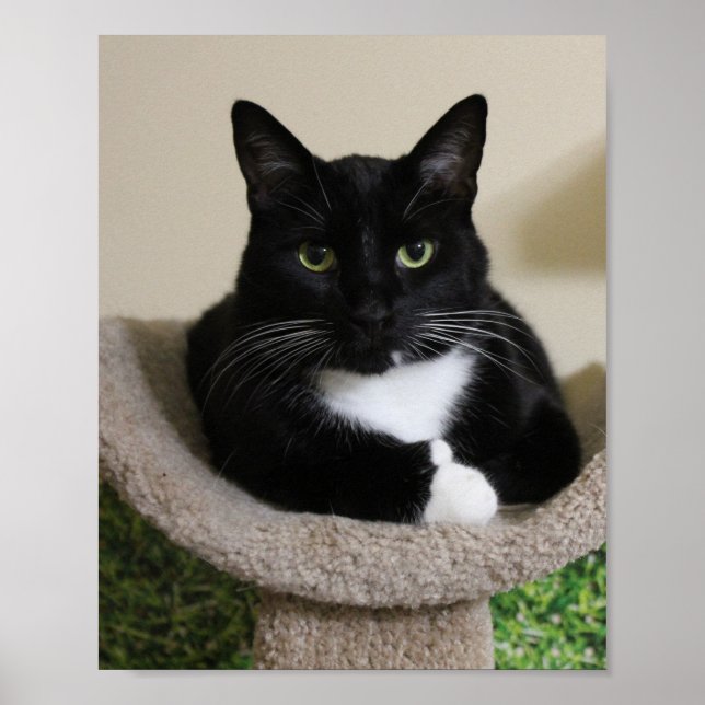 Poster Mumbs para cima (Frente)