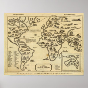 Poster Mundo de animais