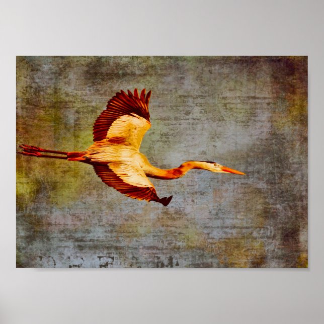 Pôster Mundo dos Sonhos-poster (Frente)