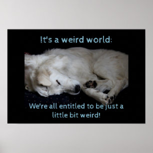 Poster Mundo estranho de Maremma Sheepdog
