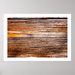 Pôster Mundo linear