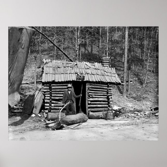 Pôster Mune Shine: 1901 (Frente)