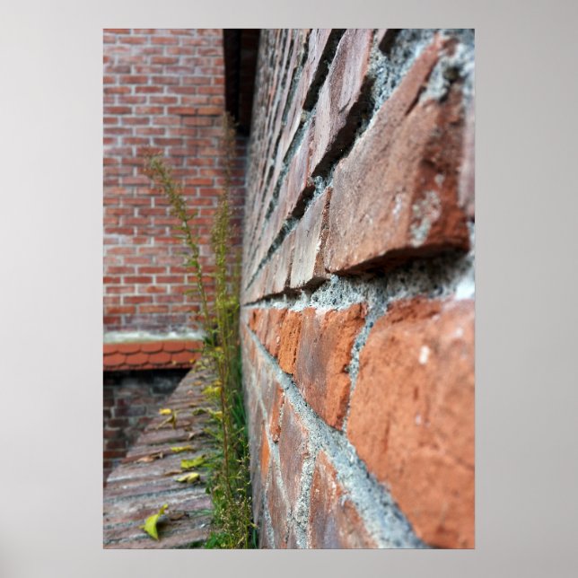 Poster muro da cidade antiga (Frente)