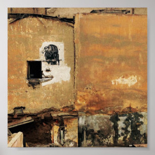 Poster muro urbano abutre peruano