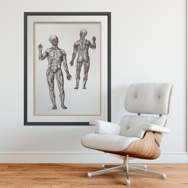 Poster Muscle Men Sports Medicine Anatomia Humana (Criador carregado)