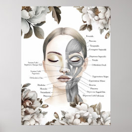 Poster Músculos Faciais Anatomia Arte Massagem Terapêutic