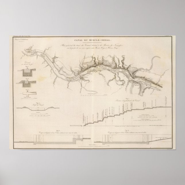 Poster Musculoso (Frente)