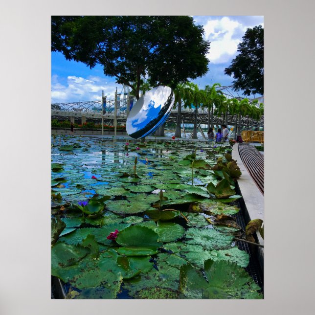 Poster Museu de Arte de Singapura Lotus Pond (Frente)