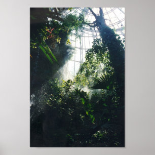 Pôster Museu de Houston da ciência e da natureza