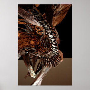 Pôster Museu de Houston da ciência natural