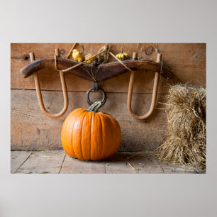 Pôster Museu dos Agricultores. Pumpkin em celeiro com far