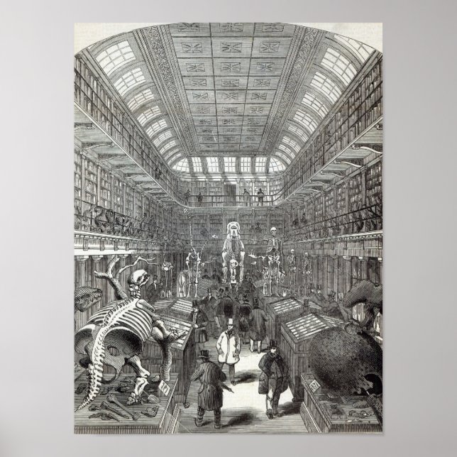 Pôster Museu Hunteriano (Frente)