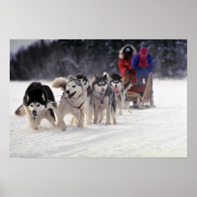 Pôster Mush (Frente)