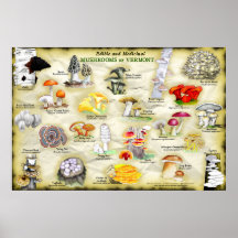 Poster Mushroom de Vermont