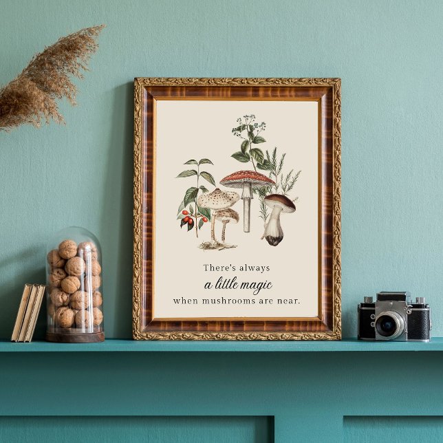 Poster Mushroom Magic (Criador carregado)