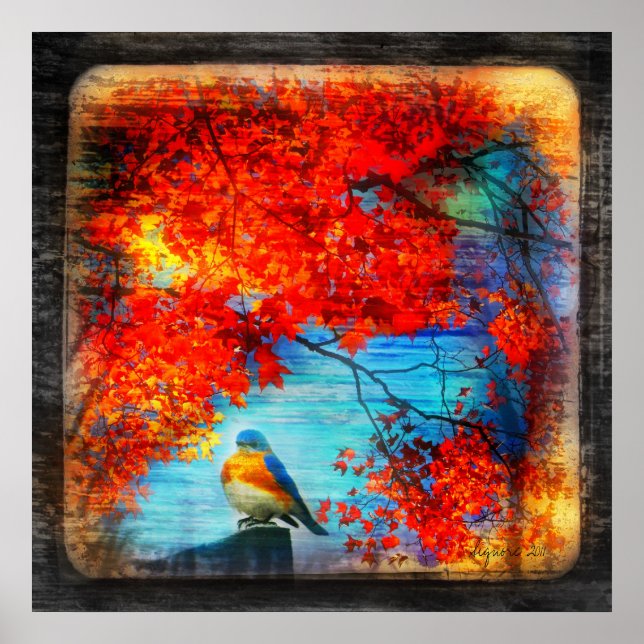 Pôster Música Bluebird,poster (Frente)