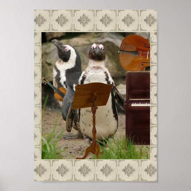 Pôster Música da Câmara dos Pinguins (Frente)