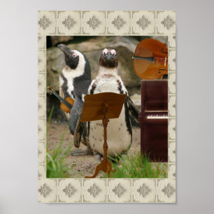 Pôster Música de câmara do pinguim