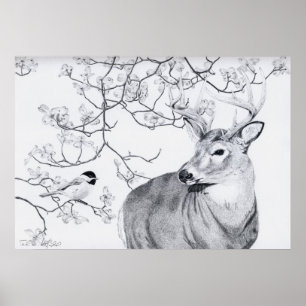 Pôster Música de Chickadee