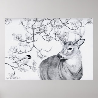 Pôster Música de Chickadee