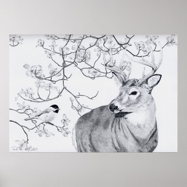 Pôster Música de Chickadee (Frente)