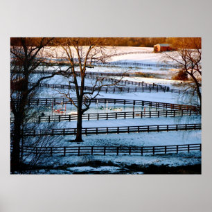 Poster Música de Folha