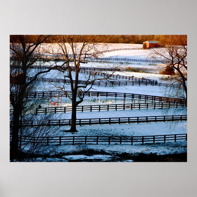 Poster Música de Folha (Frente)