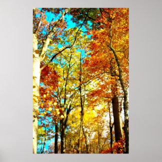 Pôster Música É Arte Rainbows