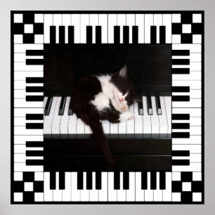 Poster Musical Sleep