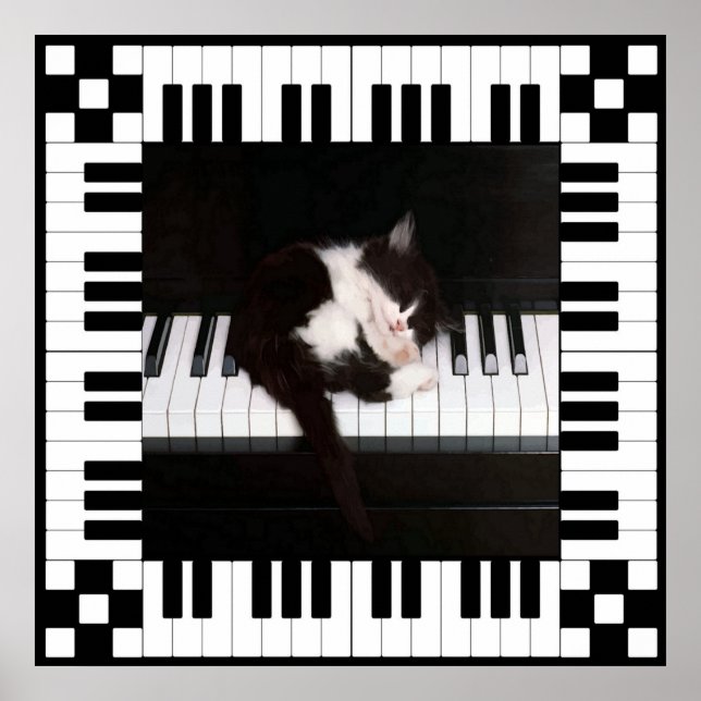 Poster Musical Sleep (Frente)