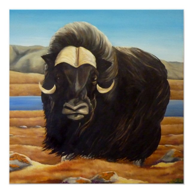 Pôster Muskox Painting Canadian Willife Poster (Frente)