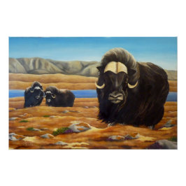 Pôster Muskox Painting Canadian Willife Poster