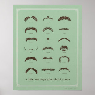 Poster Mustaches Famosos