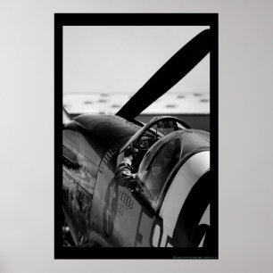 Poster Mustang de P-51B