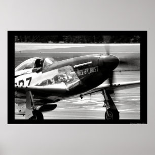 Pôster Mustang de P-51D - Inferno-er busto