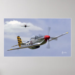 Pôster Mustang e raio