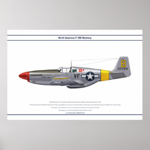 Pôster Mustang EUA 5FS 1