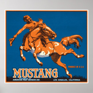 Poster Mustang Horse Cowboy Los Angeles Califórnia EUA