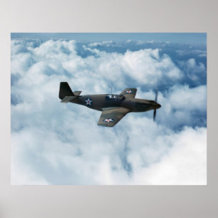 Pôster Mustang P-51