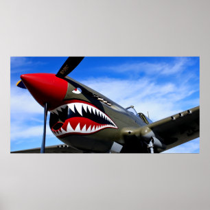 PÔSTER MUSTANG P-51 FIGHTER