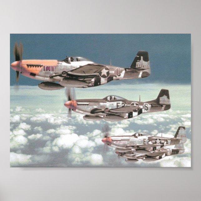 Poster Mustang Patrol (Frente)