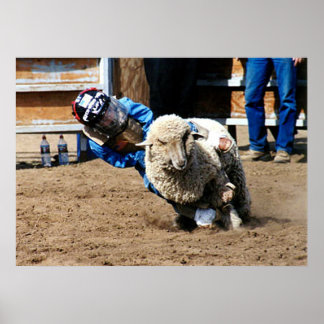 Poster Mutton Buster Testa Seu Mettle