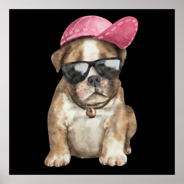 POSTER MY COOL PET  (Frente)